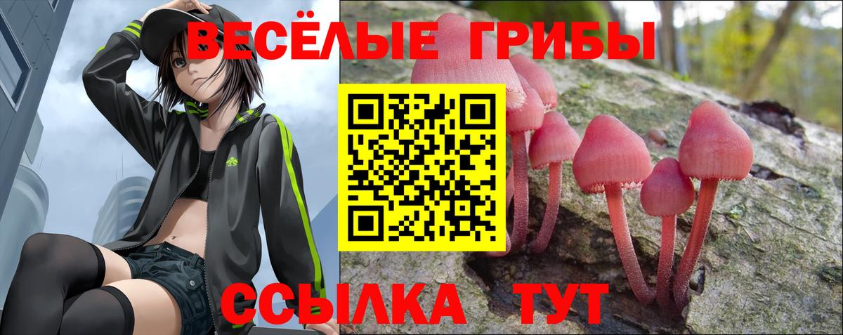 Псилоцибиновые грибы Cubensis Тверь