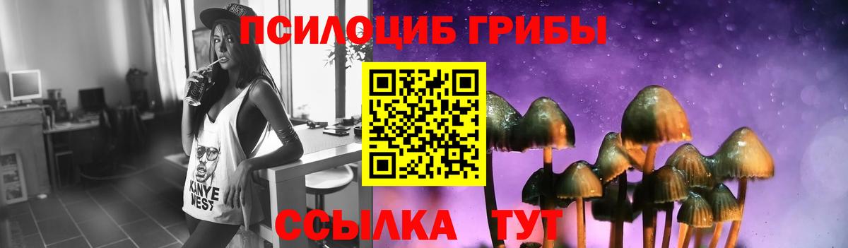 Галлюциногенные грибы Psilocybine cubensis  Вход с VPN  где найти   Тверь 